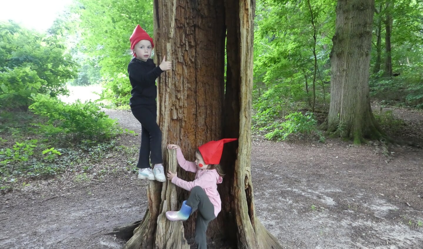 Met onze jongste 2 kleindochters hebben we op 28 juli het kabouterpad gelopen in het Renkums Beekdal. De holle boom moest even beklommen worden.
