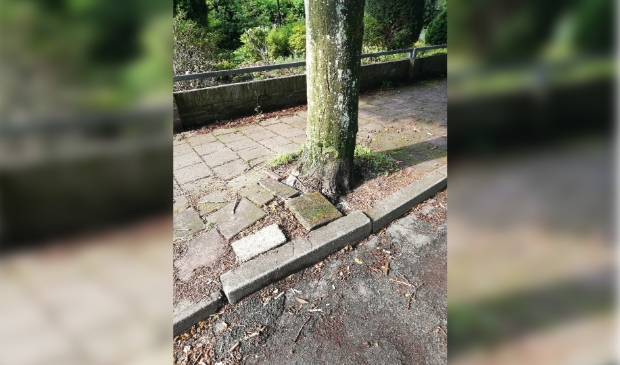 Gerestaureerde stoep Altalaan.