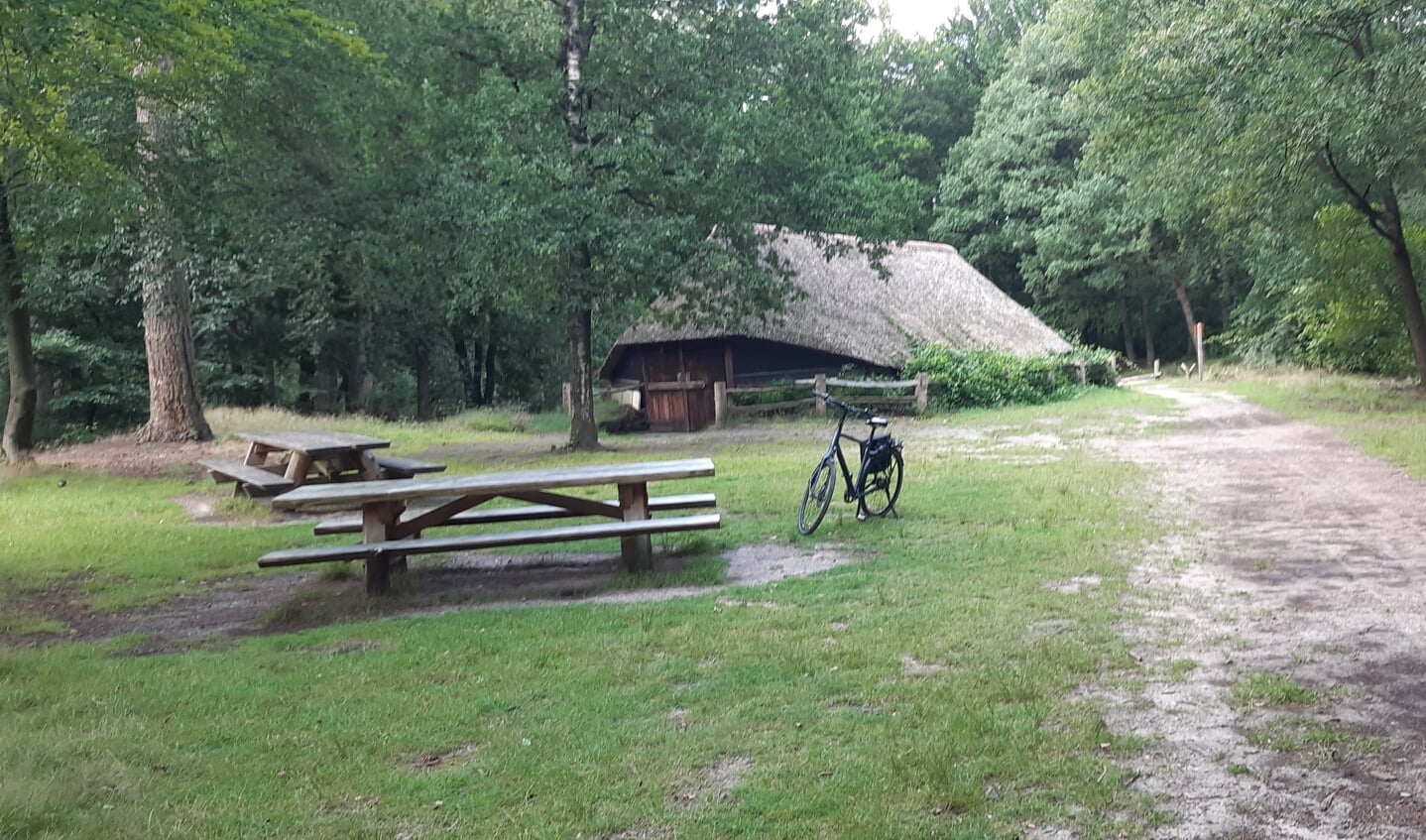 Deze foto is dichtbij gemaakt, de schaapskooi van Boeschoten, ergens in het grensgebied tussen Garderen, Putten en Voorthuizen.