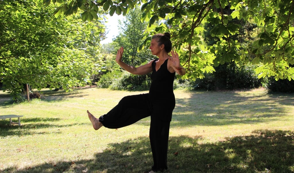 tai chi houding