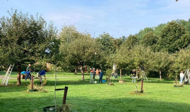 De boomgaard aan het Kooikerspad