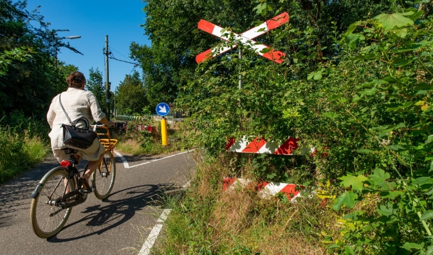 <p>De gemeente gaat fietsgebruik door werknemers en kinderen stimuleren.</p>