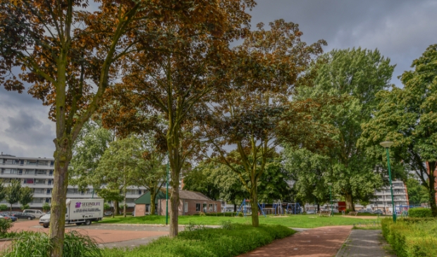 Zuiderkruis Veenendaal