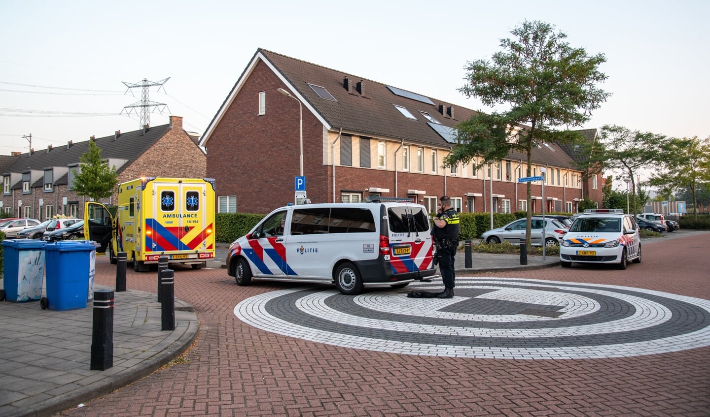 Afbeelding