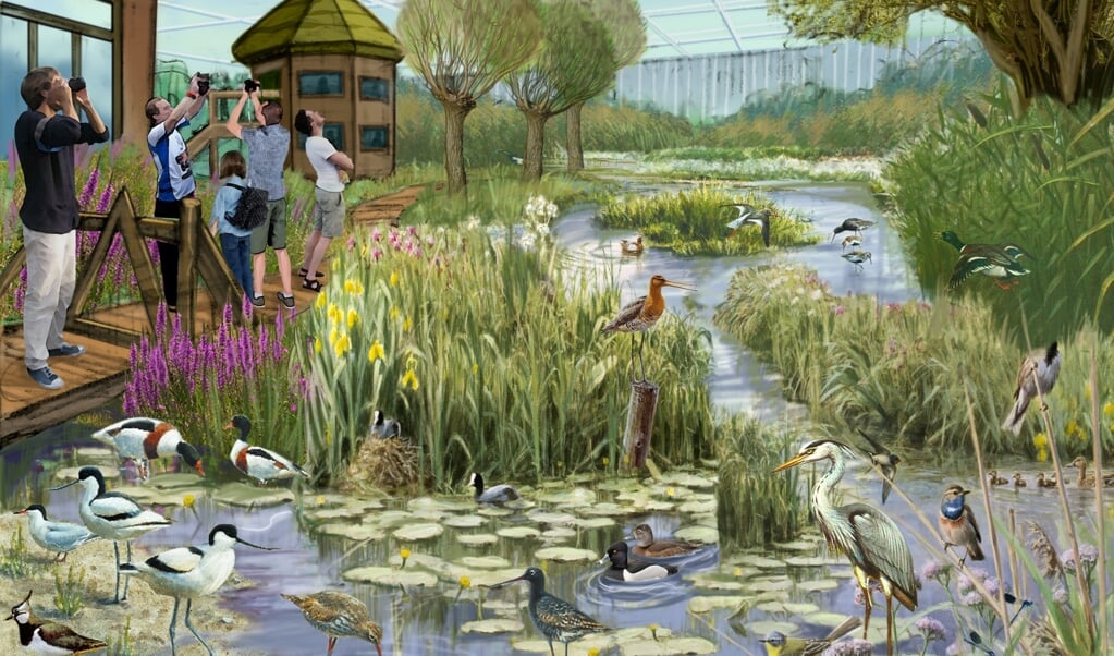 Een schets van hoe de vogeltuin in het Van Dieren Ontdekpark er mogelijk uit zou kunnen zien.