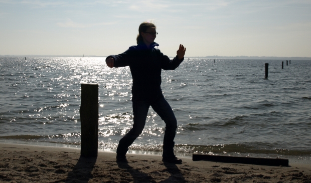 Tai Chi, enkele zweep beweging