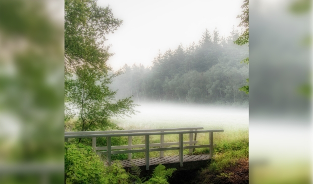 Mist boven de weilanden langs de Beukenburgerlaan.
