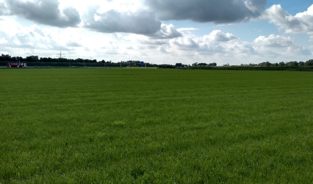 Het open gebied van de A12/ Spoorzone, ten noorden van de snelweg, waar een windturbine zou kunnen komen.