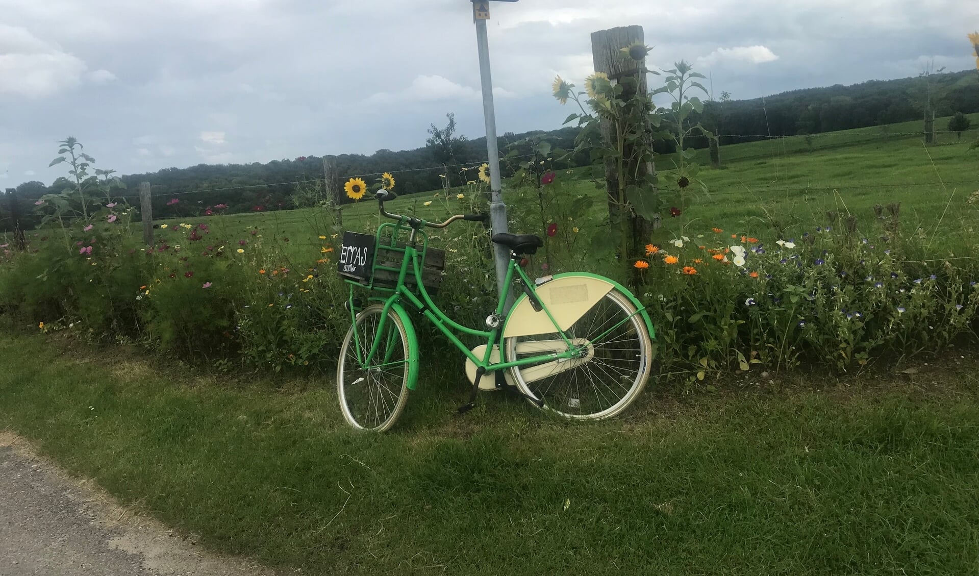 Een fiets met weidebloemen
