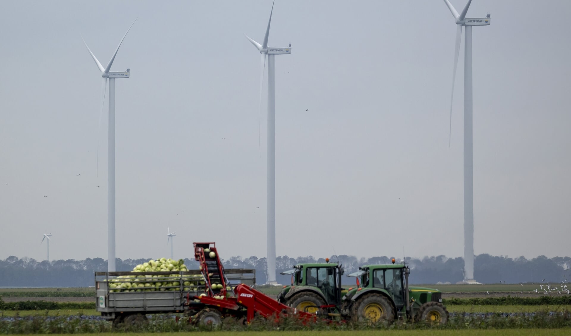 Windmolens op windpark Wieringermeer. 