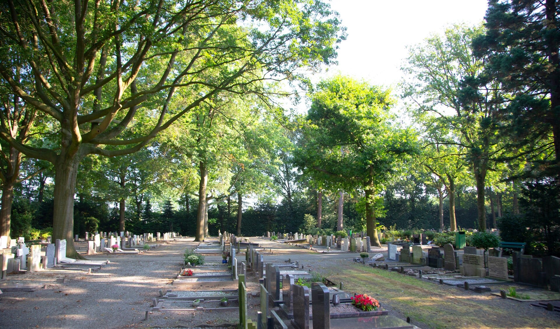 Begraafplaats Diepenbosch in Voorthuizen