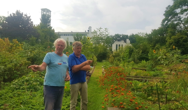 Jan Schakel en Gert van Maanen geven zondag samen met hun collega-moestuinders uitleg over de proefvakken.