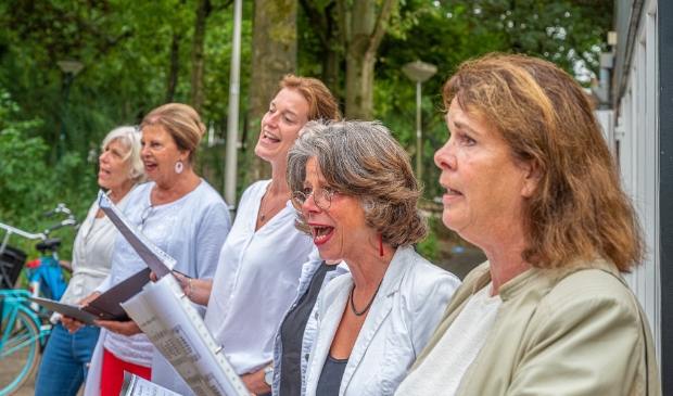 <p>De Bilt Gaat Open. </p>