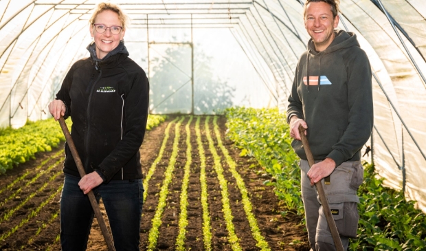 Else en Arjen in een van hun tunnelkassen op de tuinderij