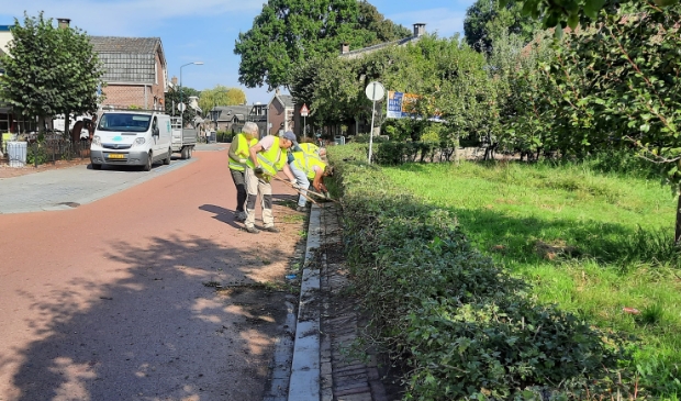De werkgroep Landschapsbeheer aan het werk in Cothen