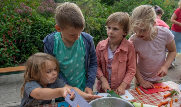 <p>Als de groenten geoogst, gewassen en fijn gesneden zijn gaan ze in een vergiet voor de soep</p>