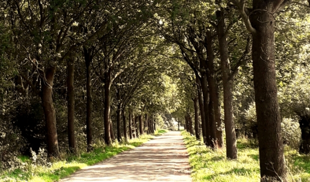 Polderweg