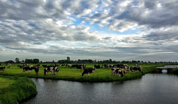 <p>Deze foto is ingezonden bij een eerdere fotowedstrijd in het kader van het project Denkend aan Holland, in 2018.</p>