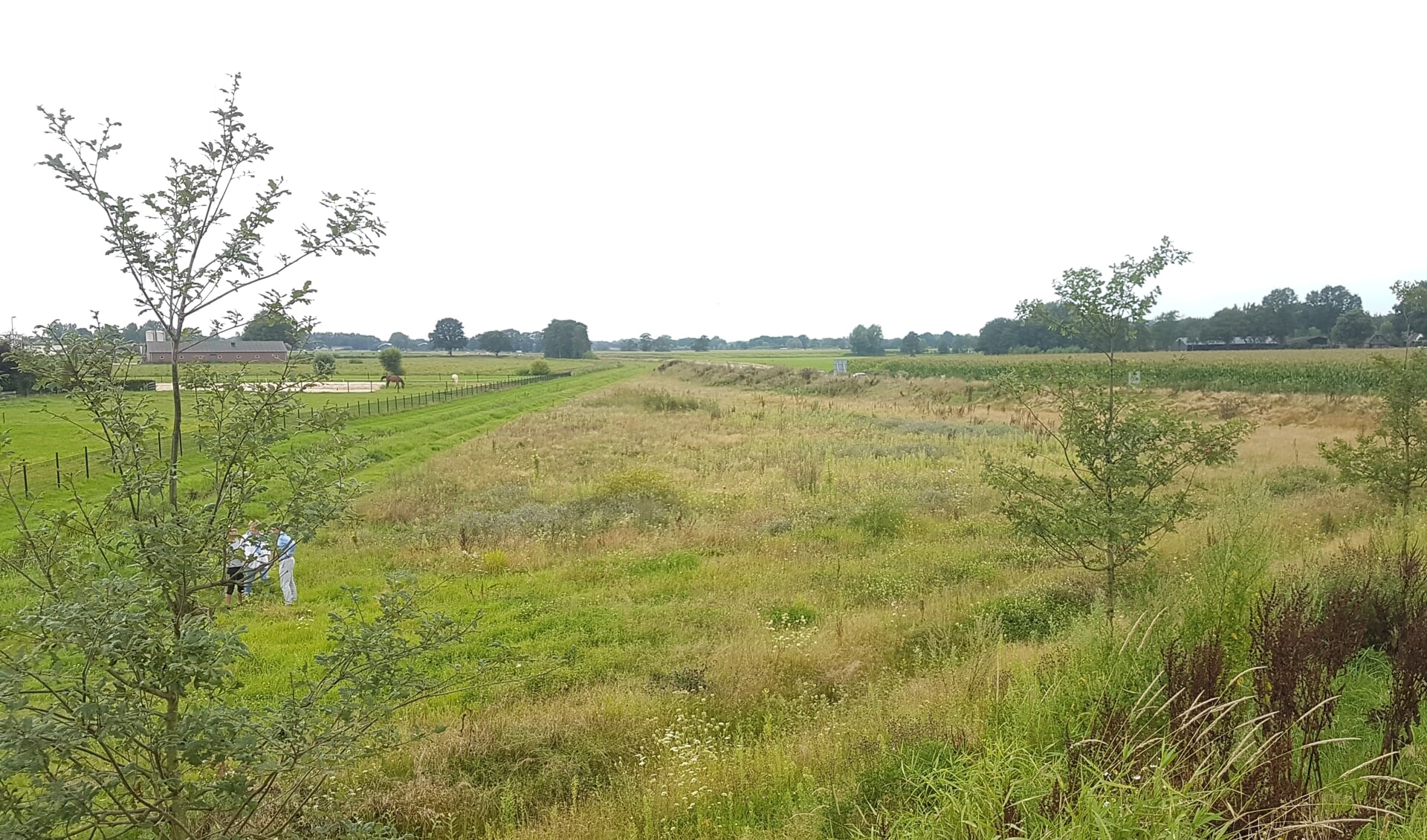 Het beoogde terrein van de dorpsmoestuin.