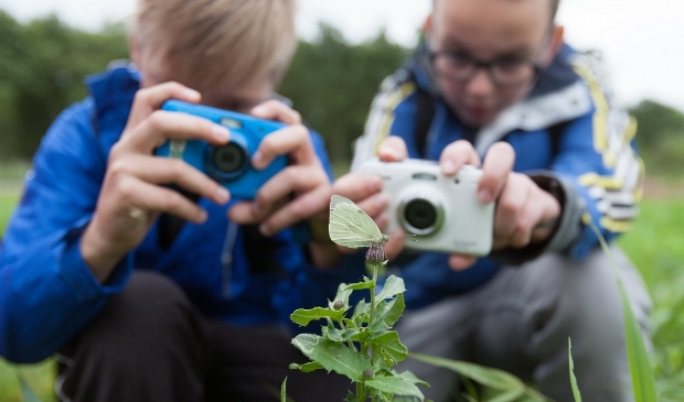 Workshop natuurfotografie voor kinderen