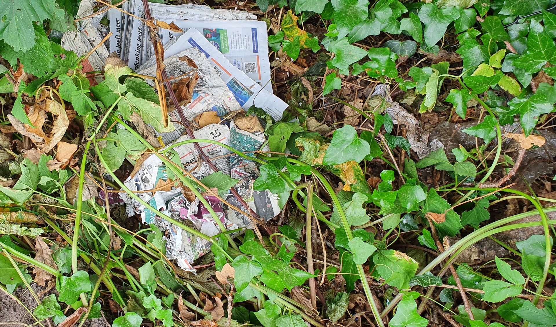 Kranten in de bosjes gedumpt