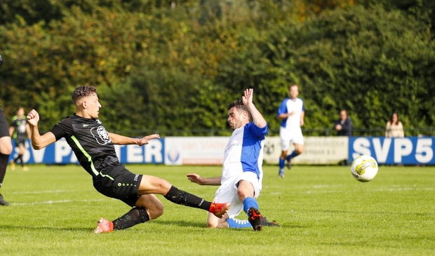 <p>Panter (hier op archiefbeeld) wist in Elst te winnen.</p>
