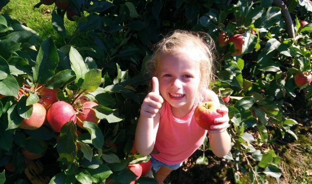 meisje plukt appels