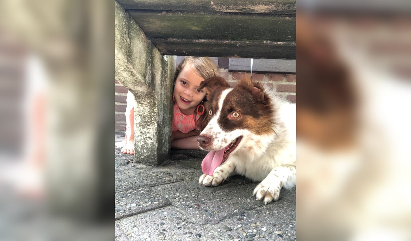 Hierbij een foto van mijn hond Robbie met mijn kleine vriendinnetje Nikki. Robbie is een bang hondje dus dacht Nikki, dan ga ik bij hem onder de bank zitten. Gezellig
