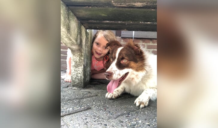 Hierbij een foto van mijn hond Robbie met mijn kleine vriendinnetje Nikki. Robbie is een bang hondje dus dacht Nikki, dan ga ik bij hem onder de bank zitten. Gezellig
