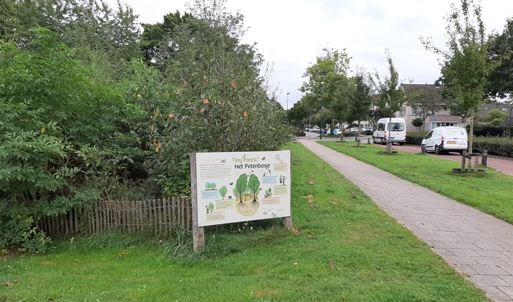 Direct naast de Prattenburglaan is het enige 'kleine bosje' van Veenendaal te vinden.