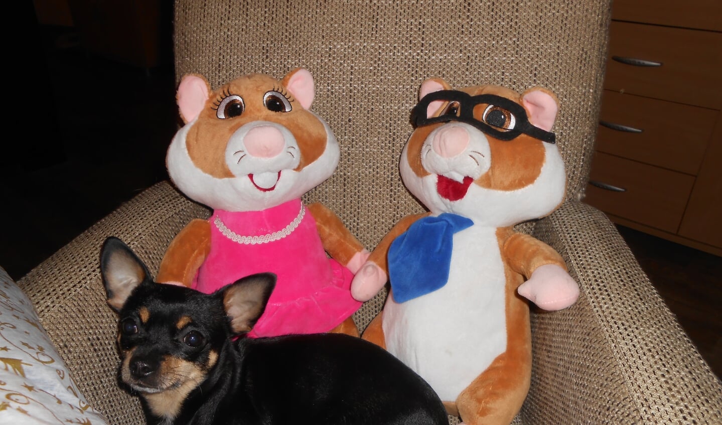 Roos, de hond van mijn vriendin samen met de Hamsters van A.H.