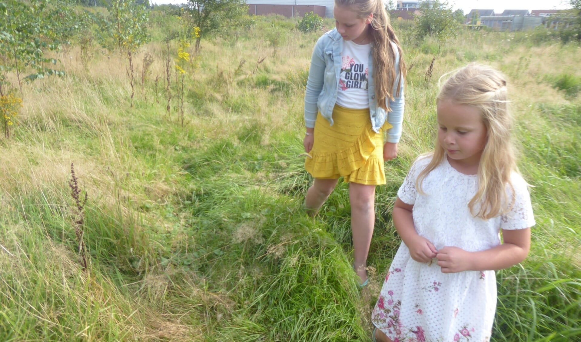 Zussen Eva en Ruth kijken of ze beestjes kunnen vinden tussen platgewaaid gras.