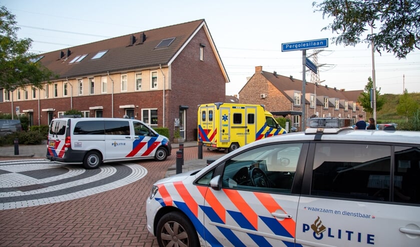 Afbeelding