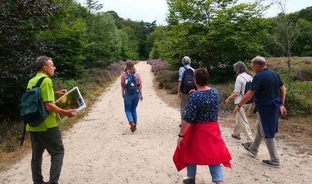 Op pad in het Amerongse Bos