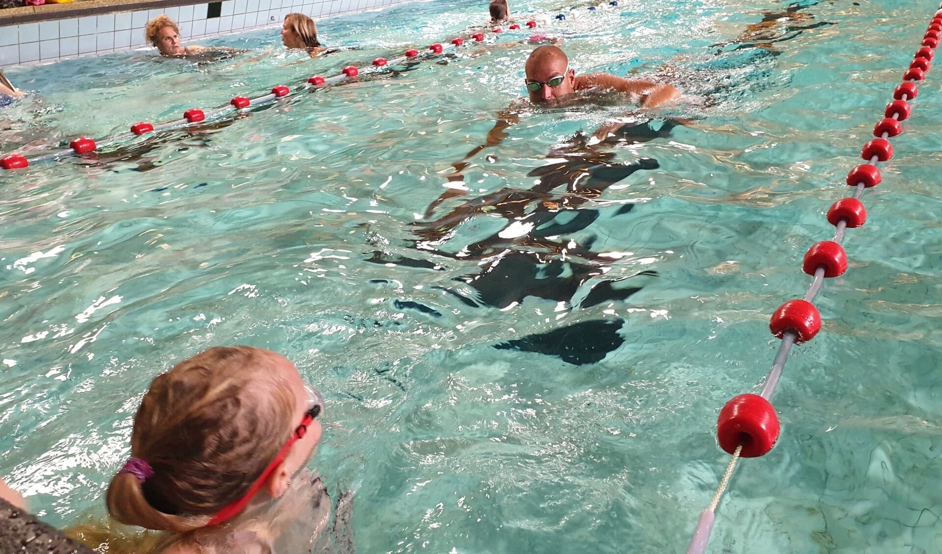Maarten van der Weijden zwemt mee met de Zwem4Daagse in zwembad 't Gastland Rhenen
