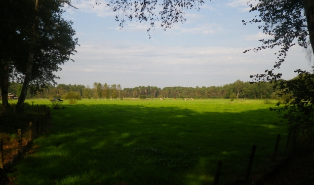 Natuur rond Amersfoort