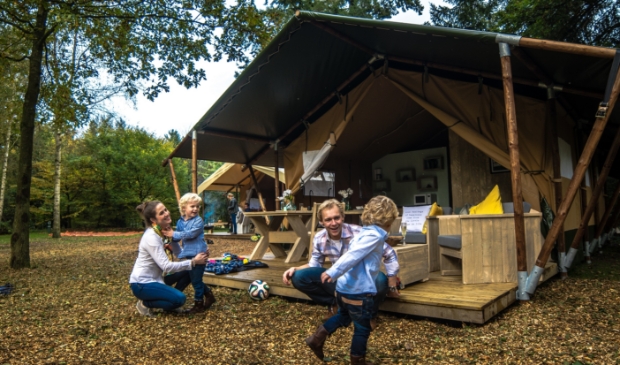 Goede zomervakantie voor toerisme Utrechtse Heuvelrug.