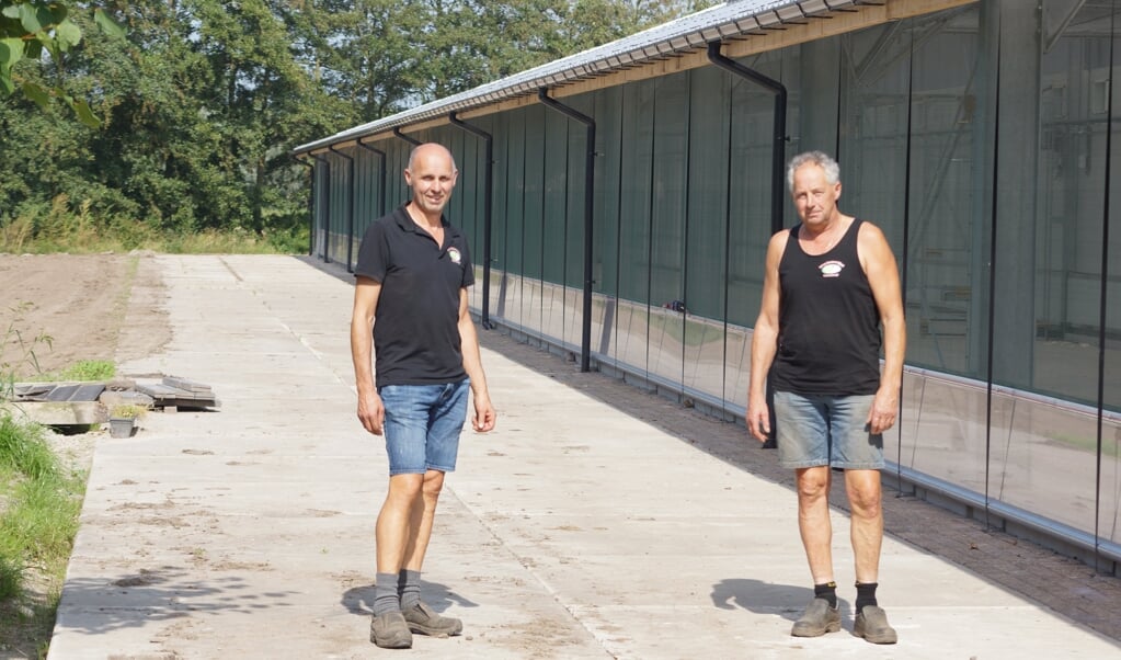 De broers Henri en Evert van Ramshorst runnen sinds 2000 het pluimveebedrijf. Broer Bert zit op een andere locatie. 