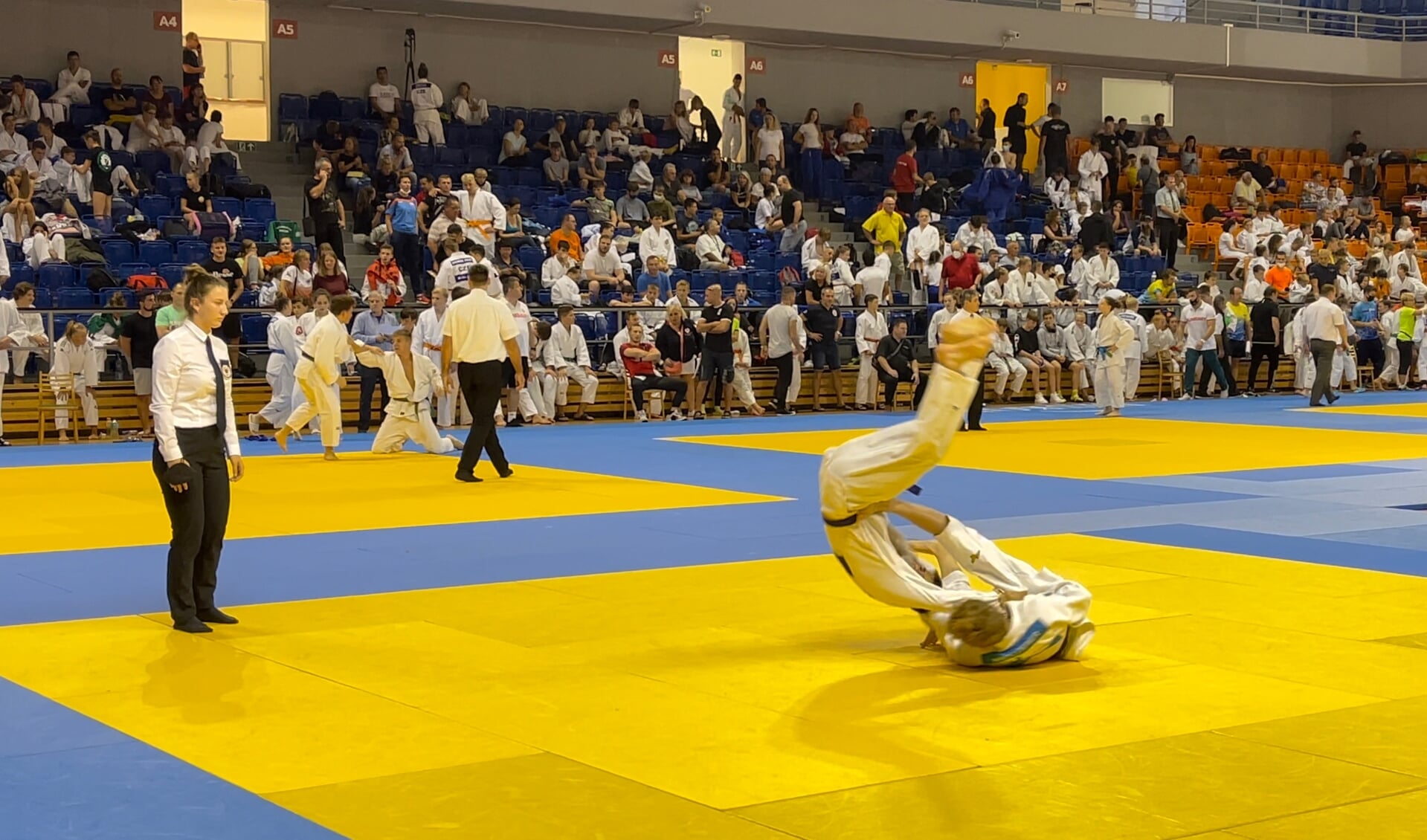 Judoka Inno Loeber laat zijn tegenstander in Brno (CZE) vliegen!