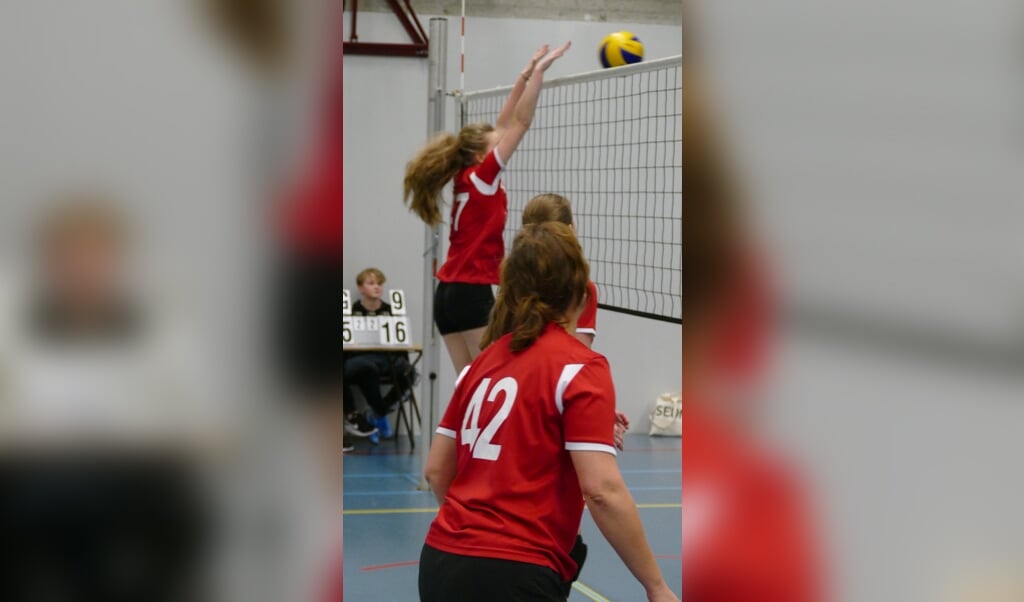 Volleybal bij Nuovo