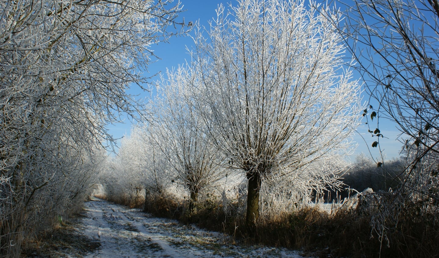 De Ketelweg in Veenendaal biedt op winterse dagen een betoverend gezicht, als op een ansichtkaart... 
