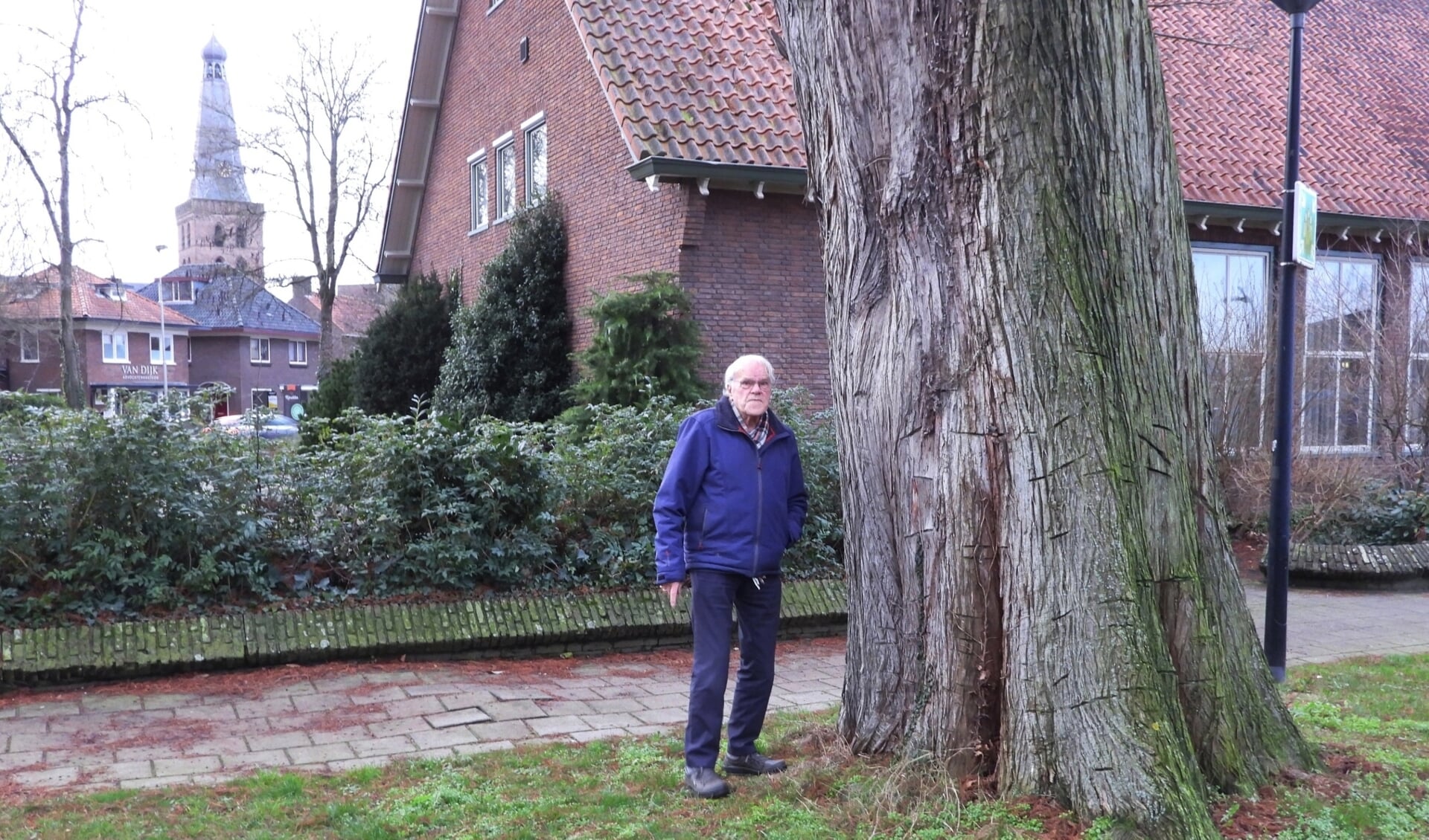 Gerrit de Graaff naast de moerascipres aan de Gasthuisstraat in Barneveld.
