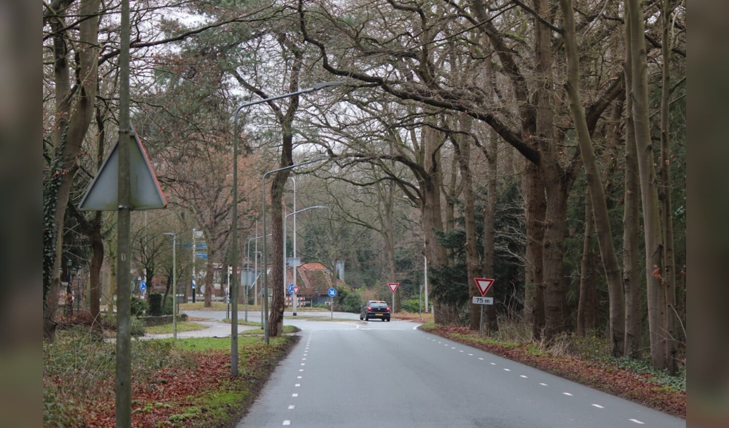 De Noodweg komt uit op de rotonde aan de Utrechtseweg. Rechtsaf richting Hollandsche Rading en de A27. 