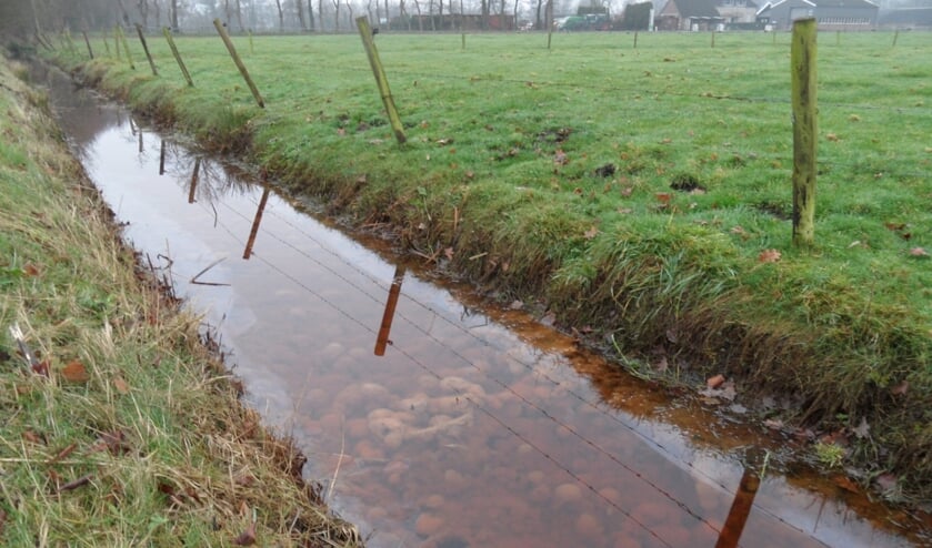 'Opwolkend' kwelwater in sloot langs de Hoofdweg in Ederveen, kans voor de natuur.