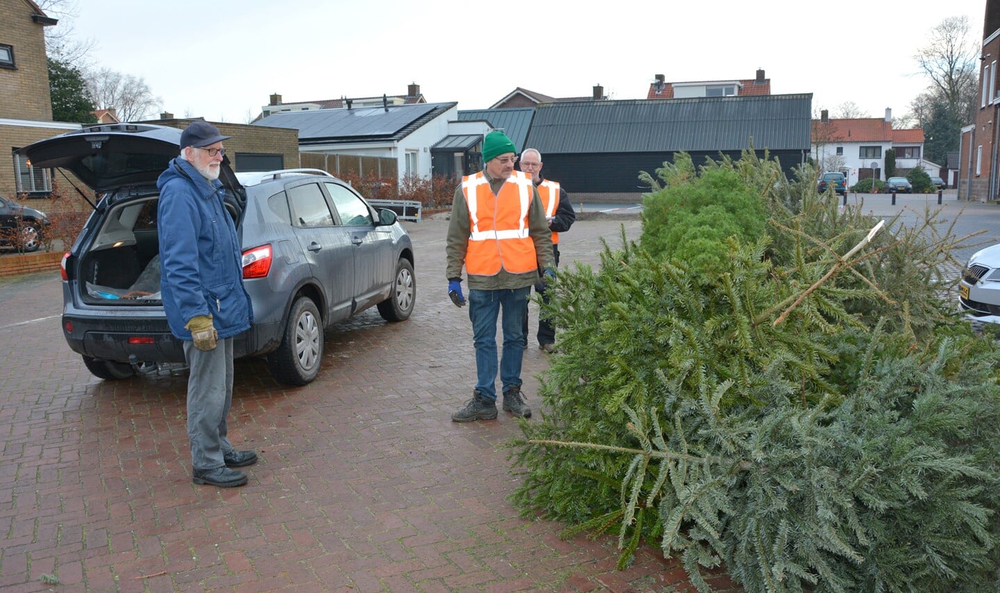 Inzameling kerstbomen in Barneveld.