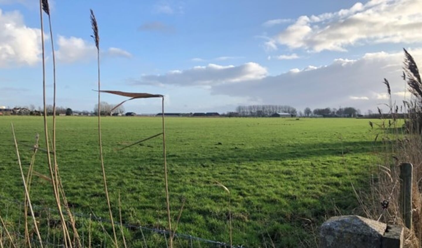 Locatie zonneveld gezien vanaf parallelweg A12; uiterst links het pompstation van Vitens