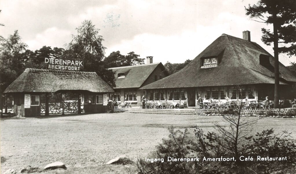 Dierenpark Amersfoort werd officieel geopend op 22 mei 1948. In het eerste jaar trok het Dierenpark meteen 5000 bezoekers. 