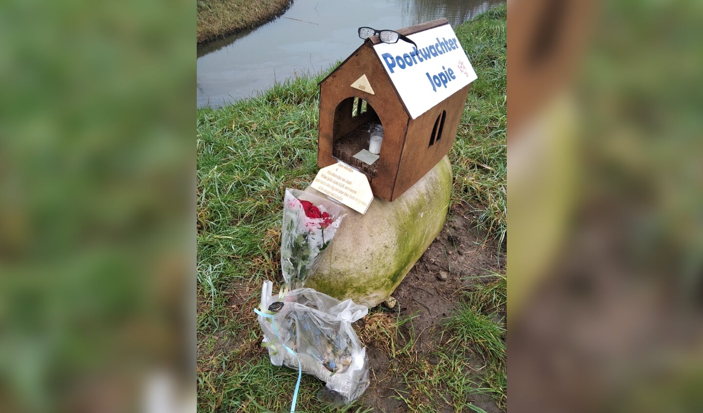 Bloemen en kaarsjes bij het kattenhuisje van Jopie