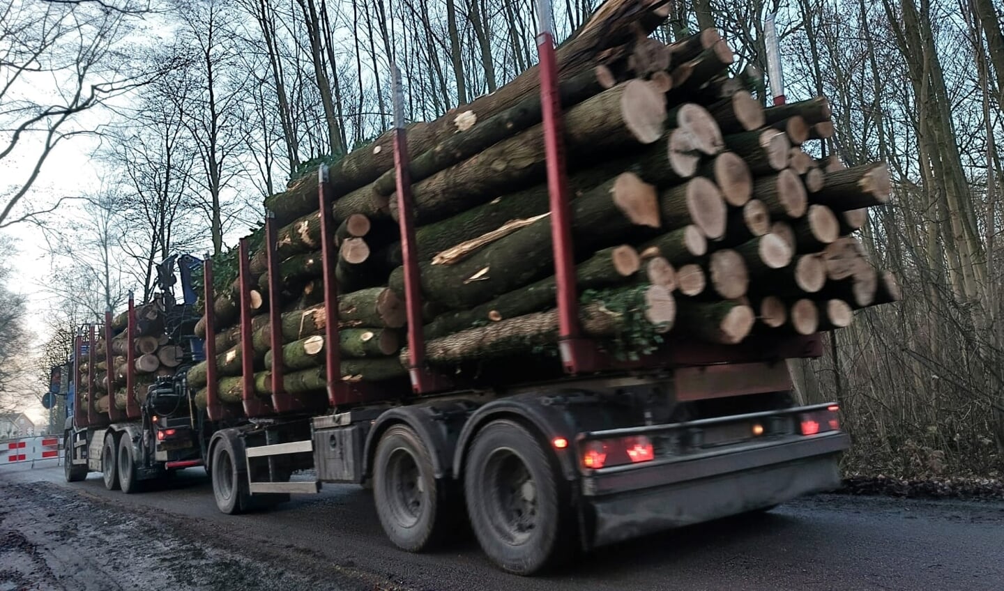 Ondanks de bouwstop zijn er vandaag vrachtwagens afgeladen met boomstammen afgevoerd