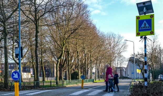 <p>Deze moeder kan weer veilig oversteken nu de voetgangersoversteekplaats op de Burg. Pabstlaan is hersteld</p>